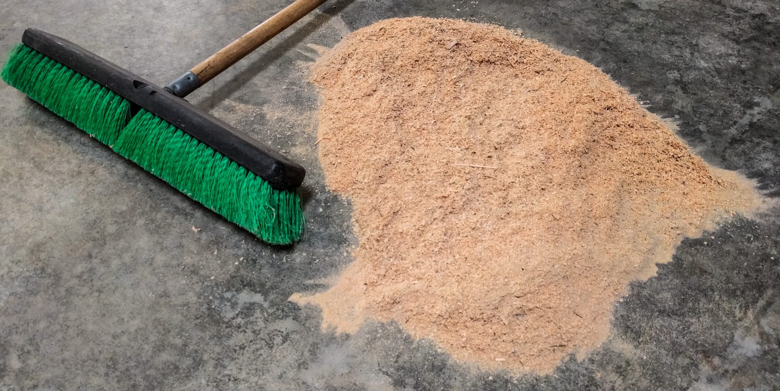 Wood shavings from cutting our bed panels down